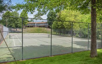 Basketball and tennis courts